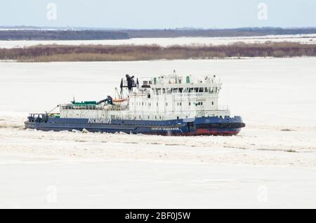 Aprile 2020 - Tsenovets. Il lavoro di rompighiaccio durante la deriva del ghiaccio. Alluvione di primavera in Russia. Russia, regione di Arkhangelsk Foto Stock