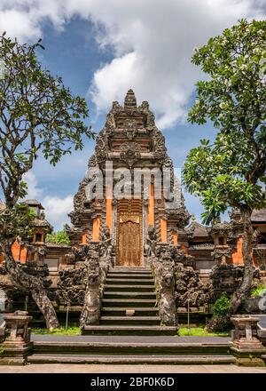 Vista verticale del Palazzo sull'acqua di Ubud a Bali, Indonesia. Foto Stock