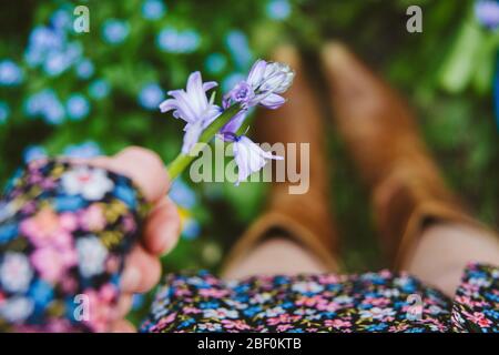 Una ragazza o una donna che scelgono un bluebell in un giorno di primavera, indossando un abito floreale e stivali cowboy. Mettere a fuoco sul Bluebell in mano. Dof poco profondo Foto Stock