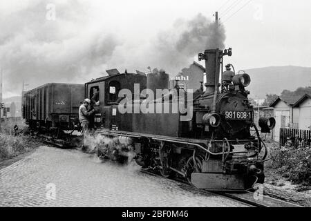 Un treno a vapore sulla linea a scartamento stretto Cranzahl Oberwiesenthal Foto Stock