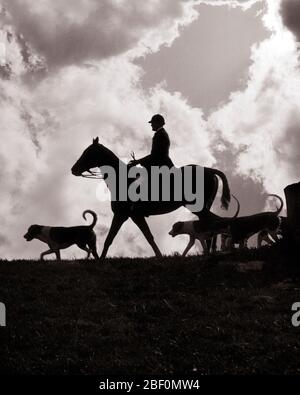 1930 SILHOUETTE DI MASTER OF HOUNDS A CAVALLO CON CANI FOXHOUNDS LEADER IL FOXHUNT - F739 HAR001 HARS MASCHI RISCHIO FOX ATLETICA INTRATTENIMENTO SILHOUETTE TRASPORTO LEADER B&W PROFILO NUVOLE ABILITÀ ATTIVITÀ OCCUPAZIONE CAVALLO ABILITÀ MAMMIFERI AVVENTURA SILHOUETTE CANINE DRAMMATICO HOUNDS RICREAZIONE MASTER OCCUPAZIONI DI LUSSO POOCH CRUDELE CONCETTUALE AFFLUENT CONTROVERSO STILE CACCIA FOX CACCIA FOXHOUNDS ADDESTRATO CANINA CACCIA MAMMIFERO ROSSO FOX BENE-DA-FARE NERO E BIANCO HAR001 UCCISIONE VECCHIO TRACCIATO MODA Foto Stock