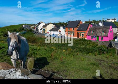 Un cavallo bianco con case colorate sullo sfondo nella verde campagna irlandese Foto Stock