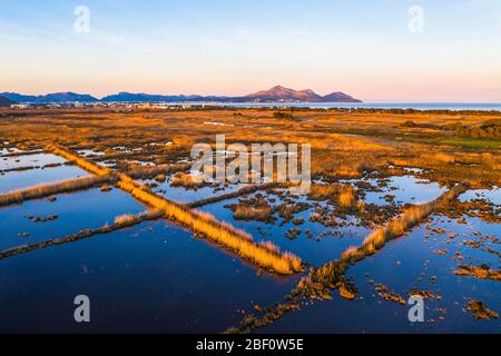 Zona umida, parco naturale S'Albufera alla luce della sera, regione di es Pla, Maiorca, Isole Baleari, Spagna Foto Stock