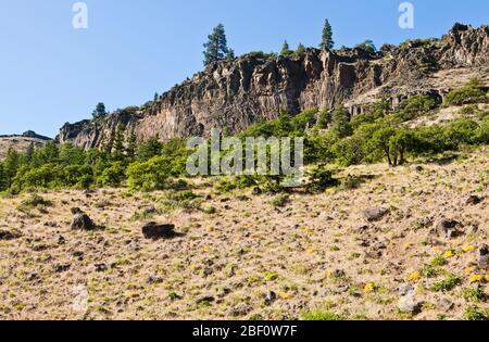 Pareti scogliera nel Tieton River Canyon nella parte orientale di Washington, USA. Stato di Washington, USA. Foto Stock