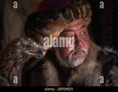 Cacciatore di aquile mongolo, kazako con aquila addestrata, ritratto, provincia Bajan-Oelgii, Mongolia Foto Stock