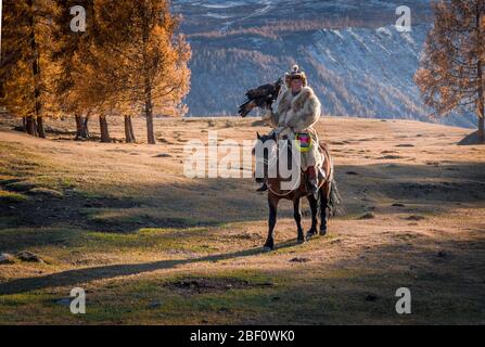 Cacciatore di aquile mongolo, cavallo kazako con aquila addestrata, provincia di Bayan-Olgii, Mongolia Foto Stock