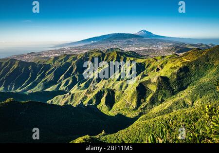 L'aspro paesaggio del Parco Rurale di Anaga, l'angolo più a nord di Tenerife con Teide sullo sfondo coperto da una nebbia mattutina. Foto Stock