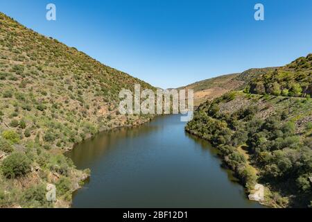 Fiume Douro accanto alla foce del fiume COA. Comune di Vila Nova de Foz Côa. Regione del Douro. Foto Stock