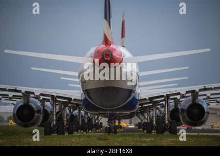 Glasgow, Regno Unito. 16 Apr 2020. Nella foto: Una collezione di quattordici aerei British Airways (aerei Airbus di breve e media portata) che vanno dagli A319, A320 e A321, che si trovano sul telone dell'aeroporto internazionale di Glasgow. L'industria aeronautica mondiale sta vivendo una crisi senza precedenti nel commercio con la maggior parte delle compagnie aeree che licenziano una quantità elevata di personale a causa delle pressioni finanziarie enormi causate dall'attuale Pandemic di Coronavirus (COVID-19). Credit: Colin Fisher/Alamy Live News Foto Stock