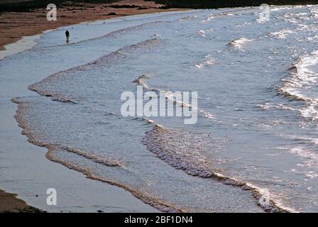 Guernsey. Alto punto di vista del surf sulla spiaggia con silhouette di lontano, solone uomo a piedi. Foto Stock