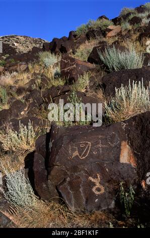 Petroglyph nel Canyon di Rinconada, il monumento nazionale di Petroglyph, New Mexico Foto Stock