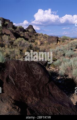 Petroglyph nel Canyon di Rinconada, il monumento nazionale di Petroglyph, New Mexico Foto Stock