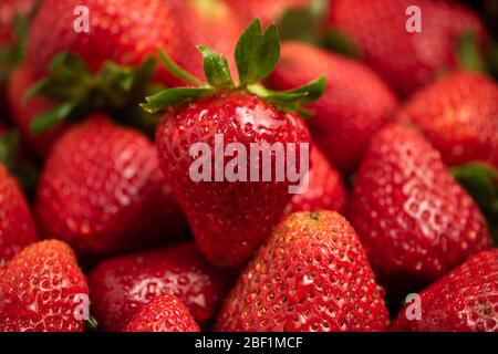 Singola fragola ben formata con foglie in gruppo di fragole primo piano Foto Stock