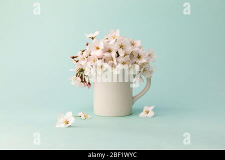 Fiori primaverili, bellissimi fiori di ciliegio in tazza bianca Foto Stock