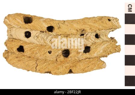 Fango dell'organo del tubo Dauber fango dell'organpipe Dauber. Questo oggetto fa parte della collezione Education and Outreach, alcuni dei quali sono nel centro di formazione scientifica Q?rius e disponibili per vedere.314 gennaio 2020 Foto Stock
