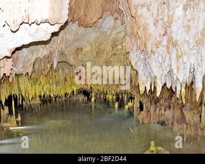 Lago sotterraneo nelle grotte di cristallo, Grand Cayman Island Foto Stock