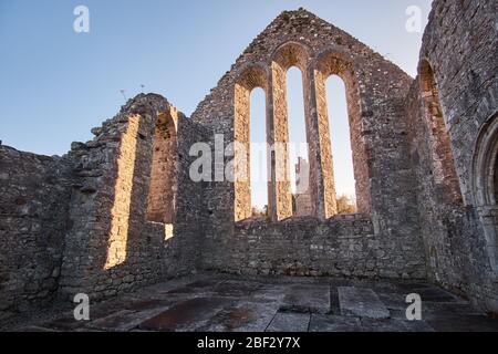 L'Abbazia di Cong rovina a Cong, nella Contea di Mayo, Connemara, Repubblica d'Irlanda Foto Stock