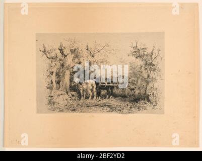 Nel bosco. Due cavalli (bianco e nero) con una carrozza su una strada forestale. In vista laterale rivolta verso sinistra. In basso a destra: "J.. Veyrassat 73'. Foto Stock