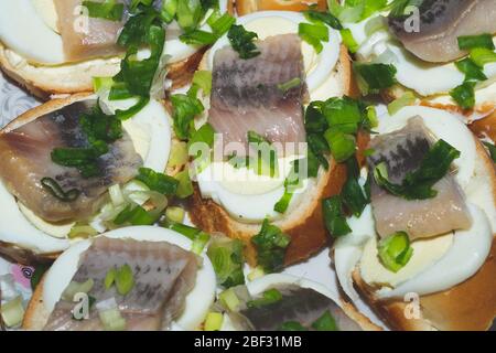 Panini con filetto di aringa. Cibo tradizionale. Antipasto con pesce Foto Stock