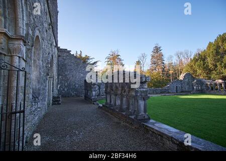 L'Abbazia di Cong rovina a Cong, nella Contea di Mayo, Connemara, Repubblica d'Irlanda Foto Stock