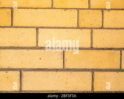 Struttura di mattoni beige con posto per il testo. Foto Stock