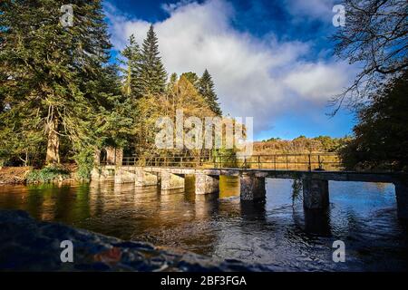 Ponte pedonale sul fiume nella zona di Cong Forest Recreation Cong, County Mayo Repubblica d'Irlanda Europa Foto Stock