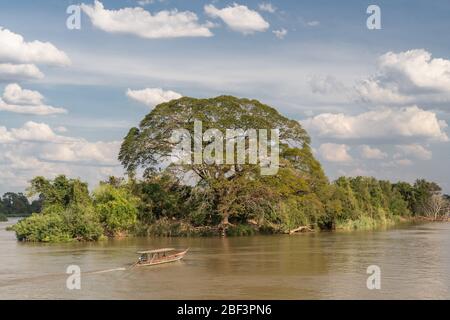 Vista sul fiume Mekong da Don Dhet, Laos Foto Stock