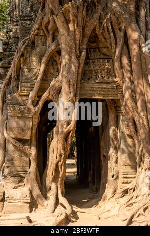 Tempio di Ta Som, Parco di Angkor, Siem Reap, Cambogia Foto Stock