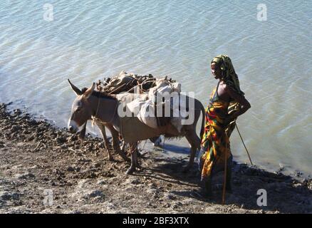 Una donna somala e il suo asino dall'acqua vicino Belet Weyne Somalia durante il funzionamento continua a sperare nel 1993 Foto Stock