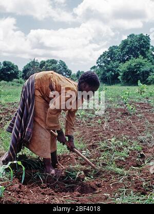 1993 - un somalo donna che lavorano nei campi in Kismayo, Somalia mentre U.S. Le forze sono state in Somalia per continuare l'Operazione Speranza. Foto Stock