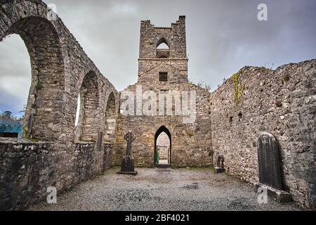 L'Abbazia di Cong rovina a Cong, nella Contea di Mayo, Connemara, Repubblica d'Irlanda Foto Stock