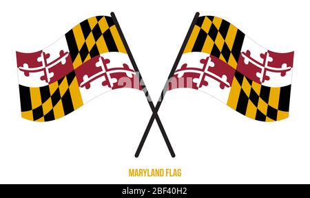 Due bandiere ondeggianti incrociate del Maryland su isolato sfondo bianco. Illustrazione vettoriale della bandiera degli Stati Uniti (USA). Foto Stock