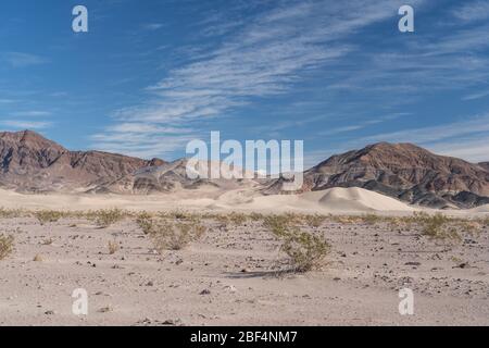 Dune di stambecco nel Parco Nazionale della Death Valley Foto Stock