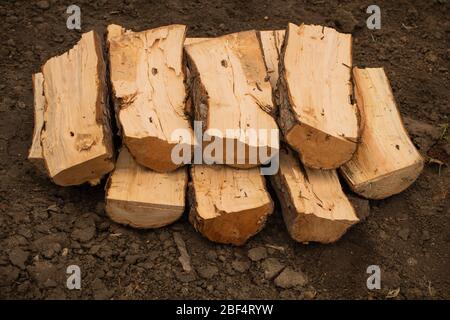 Qualche buon legno per il forno a legna o per il camino Foto Stock