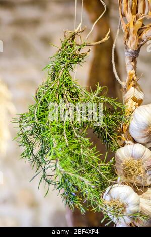 cucina tradizionale contadina e medicina medievale, ingredienti, prodotti agricoli e di caccia, miglio, lenticchie, riso, nocciole, ortografato, zenzero, Foto Stock