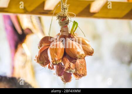 cucina tradizionale contadina e medicina medievale, ingredienti, prodotti agricoli e di caccia, miglio, lenticchie, riso, nocciole, ortografato, zenzero, Foto Stock