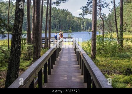 Molo di legno sul lago Suchar Wielki nella zona del Parco Nazionale di Wigry vicino al villaggio di Slupie all'interno della contea di Suwalki, Voivodato di Podlaskie in Polonia Foto Stock