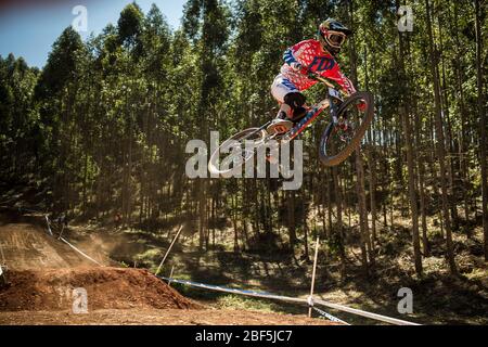 PIETERMARITZBURG, SUDAFRICA - 1 SETTEMBRE 2013. Danny Hart (GBR) corse per il Team Giant ai Campionati mondiali di mountain bike Downhill dell'UCI Foto Stock