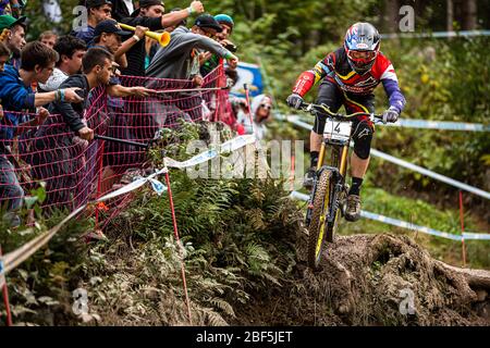 LEOGANG, AUSTRIA - 22 SETTEMBRE 2013. Mick Hannah (AUS) in gara per il Team Polygon UR alla UCI Mountain Bike Downhill World Cup Foto Stock