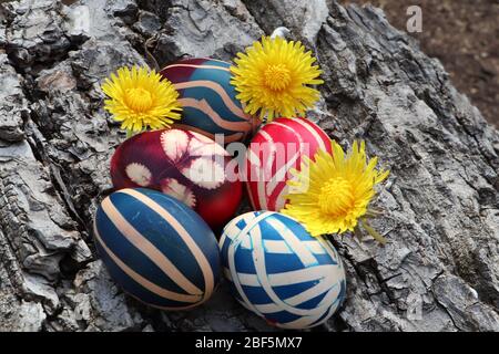 Uova dipinte colorate con fiori di dente di leone su uno sfondo corteccia di noce Foto Stock