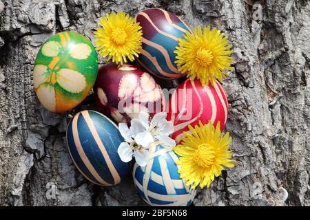 Uova di Pasqua con fiori su una corteccia di un albero di noce Foto Stock