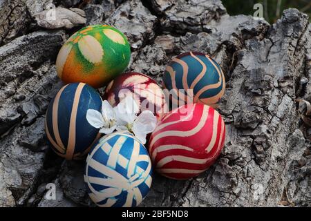 Disegno tribale dipinta uova di Pasqua con fiori di albero bianco su uno sfondo corteccia di noce. Foto Stock