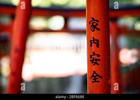 Tokyo, Giappone - 9 8 2019: Le file di archi rossi 'torii' nel santuario di Nezu Foto Stock