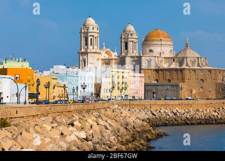 La cattedrale barocca-rococò di Santa Cruz de Cadice vista da Avenida campo del sur, Cadice, provincia di Cadice, Costa de la Luz, Andalusia, Spagna. Foto Stock