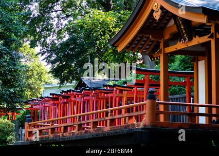 Tokyo, Giappone - 9 8 2019: Le file di archi rossi 'torii' nel santuario di Nezu Foto Stock