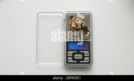 pesare una porzione di funghi allucinogeni su una bilancia Foto Stock