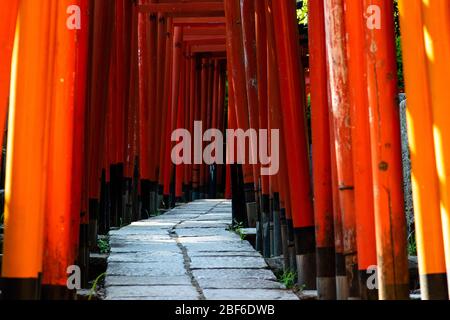 Tokyo, Giappone - 9 8 2019: Le file di archi rossi 'torii' nel santuario di Nezu Foto Stock