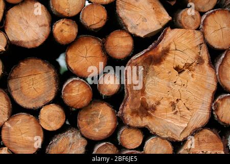 Legno, accatastato accanto ad una strada a Småland, Svezia. Foto Stock