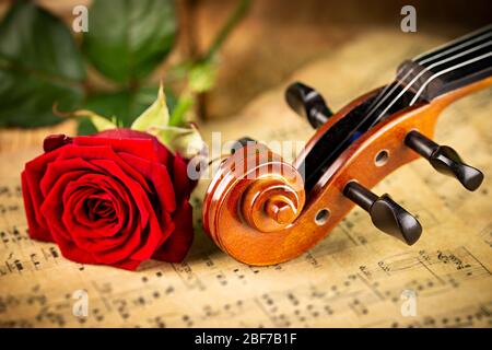 musica classica retrò con violino, strumentazione su carta da note di vecchia musica con fiore rosa rosso su sfondo legno di quercia. musica classica rom Foto Stock