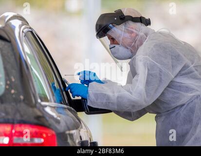 17 aprile 2020, Meclemburgo-Pomerania occidentale, Bützow: Utilizzando un tampone, Anja Hörichs preleva un campione da un paziente in auto presso il centro di test per la sospetta corona. Il campione viene prelevato dalla gola del paziente. Al centro di prova, presso il reparto di manutenzione stradale, vengono prelevati fino a 50 campioni al giorno. Foto: Jens Büttner/dpa-Zentralbild/dpa Foto Stock